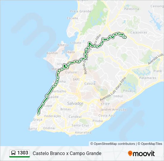1303 Bus Line Map