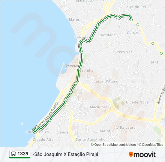 1339 Bus Line Map
