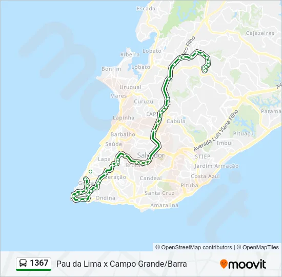 1367 Bus Line Map