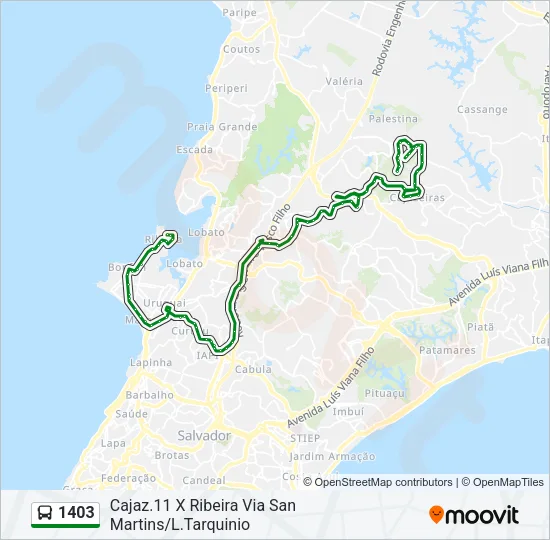 1403 Bus Line Map