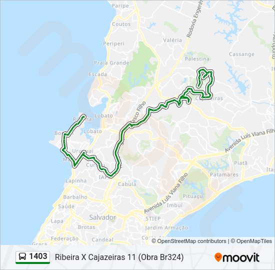 Mapa da linha 1403 de ônibus