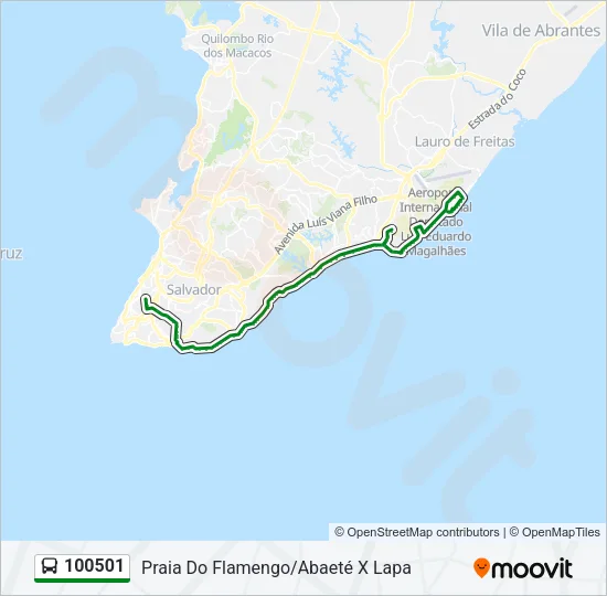 100501 Bus Line Map