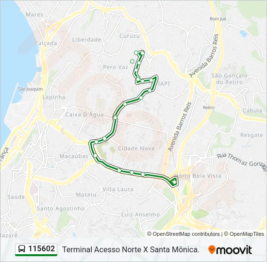 115602 Bus Line Map