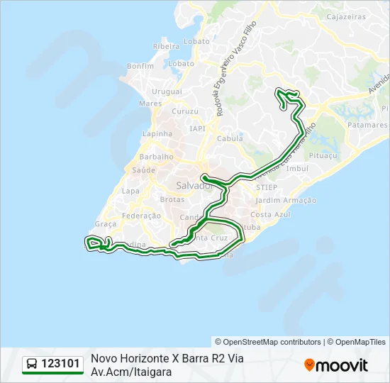 123101 Bus Line Map