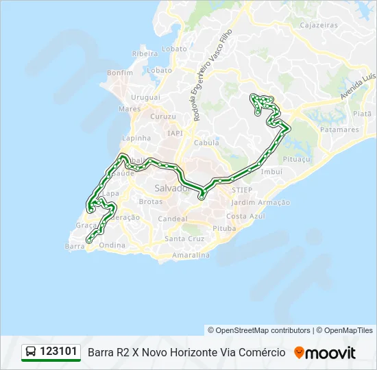123101 Bus Line Map