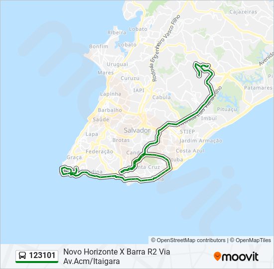 Mapa da linha 123101 de ônibus