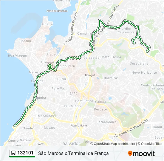 132101 Bus Line Map