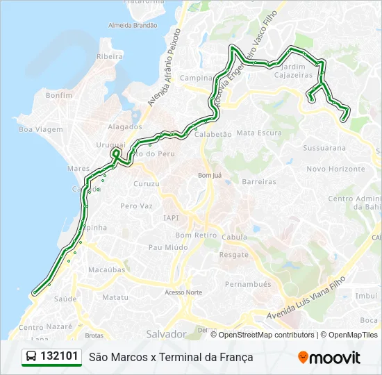 132101 Bus Line Map