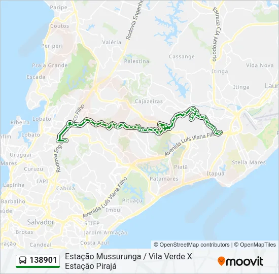138901 Bus Line Map