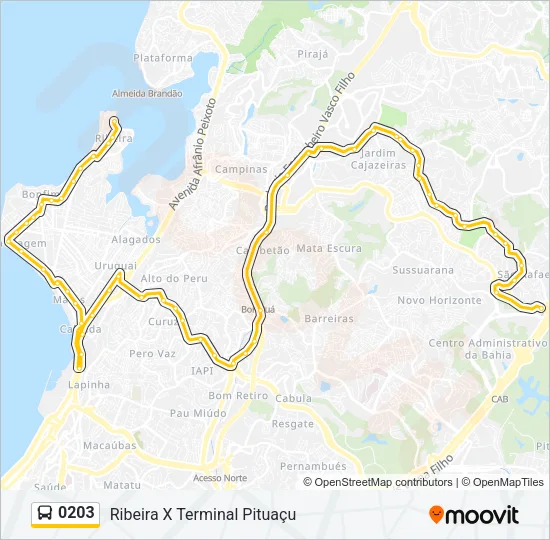 0203 Bus Line Map