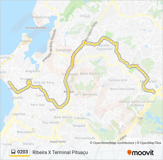 0203 Bus Line Map