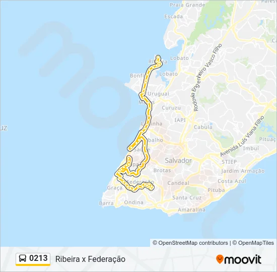 0213 Bus Line Map