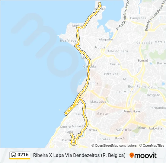 0216 Bus Line Map