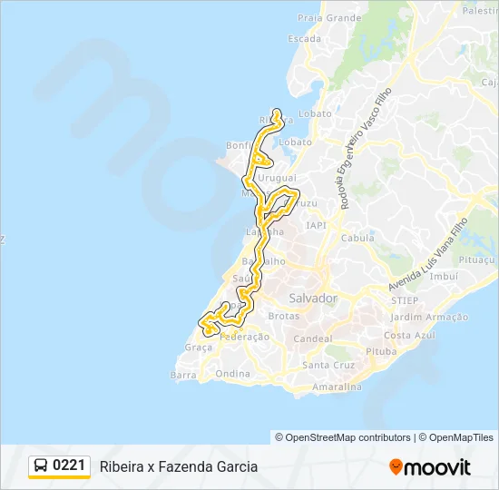 0221 Bus Line Map