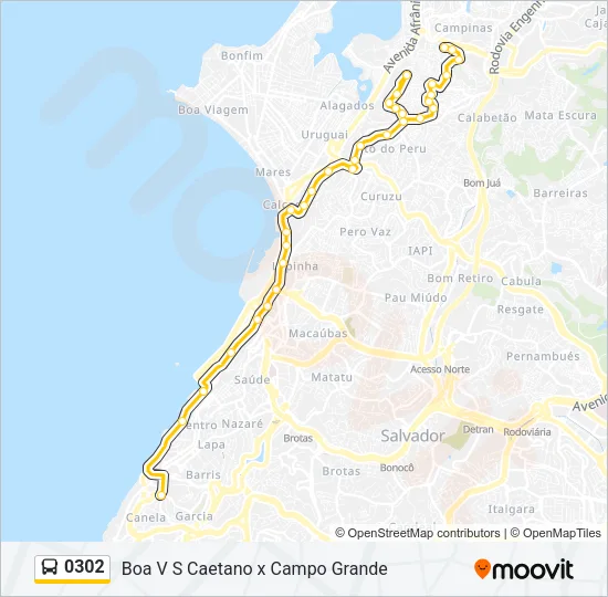 0302 Bus Line Map