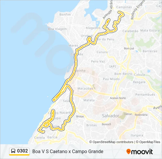 0302 Bus Line Map