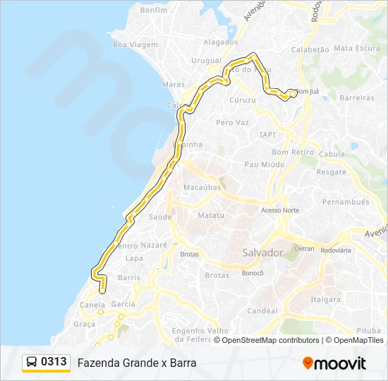 0313 Bus Line Map