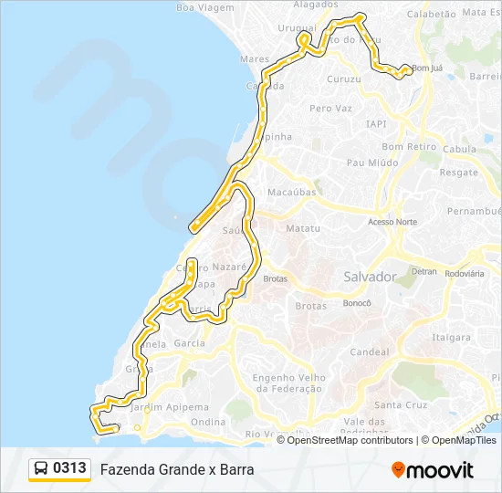 0313 Bus Line Map