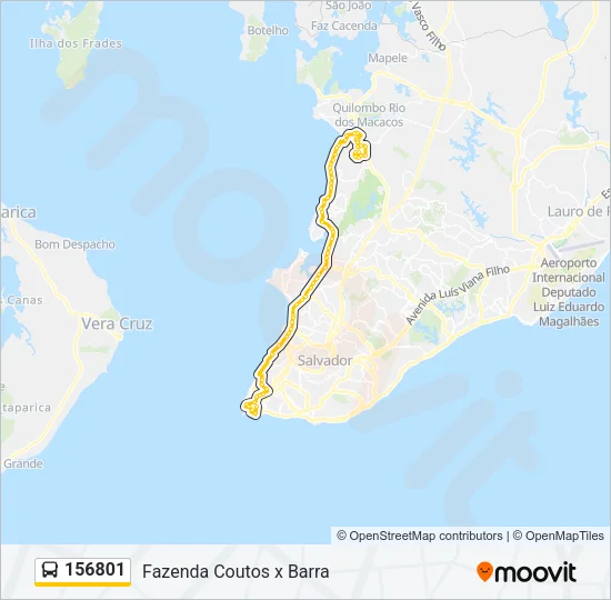 156801 Bus Line Map