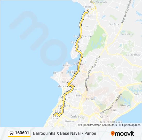 160601 Bus Line Map