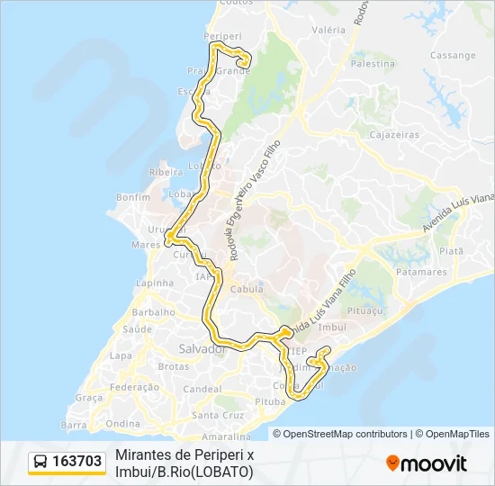 163703 Bus Line Map