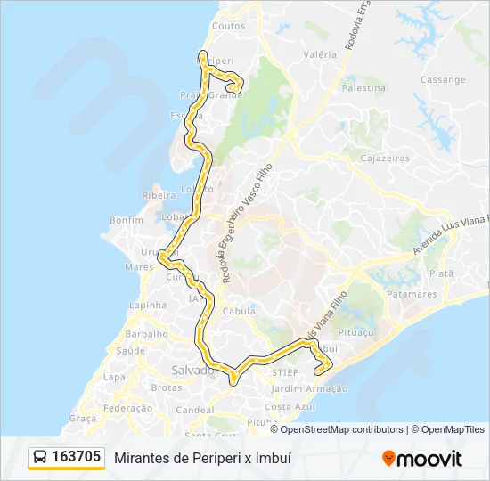 163705 Bus Line Map