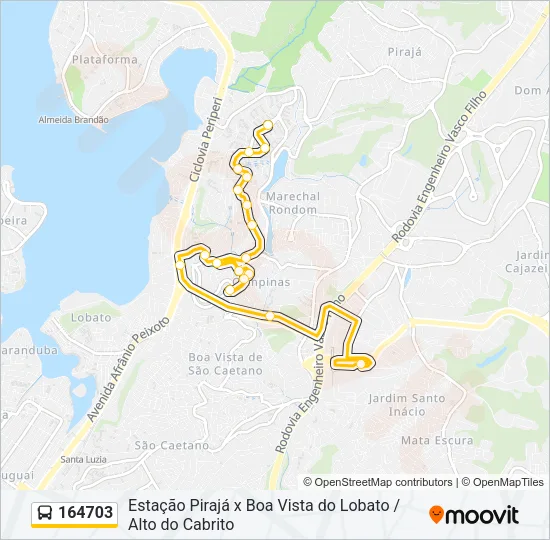 164703 Bus Line Map