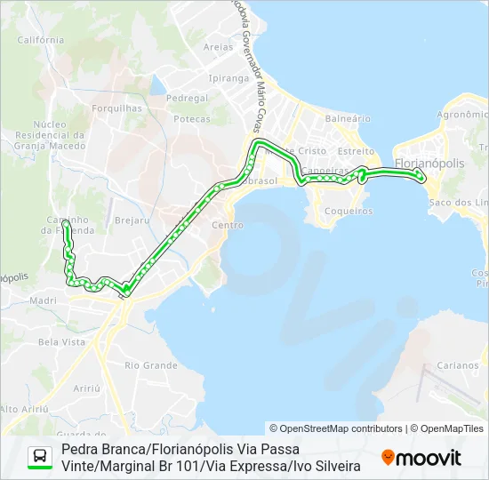 6530 PEDRA BRANCA/FLORIANÓPOLIS Bus Line Map