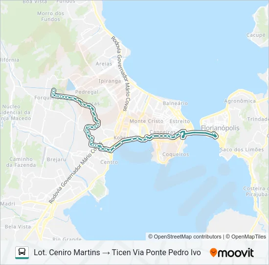 131 L. CENIRO MARTINS VIA JD. DAS PALMEIRAS Bus Line Map
