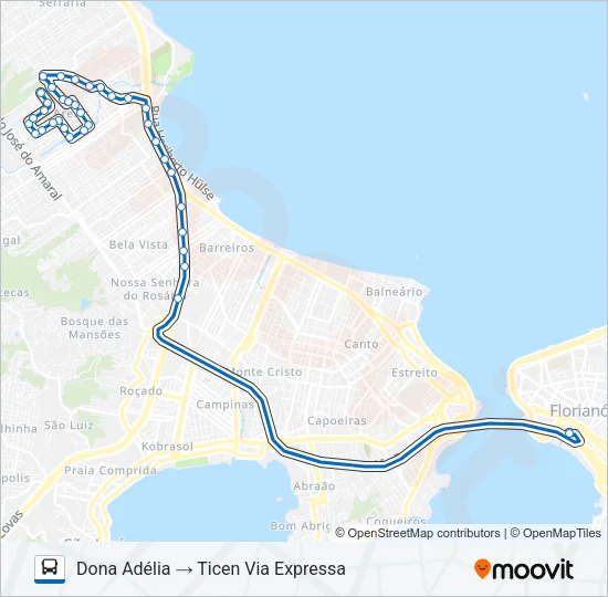 9900 DONA ADÉLIA Bus Line Map