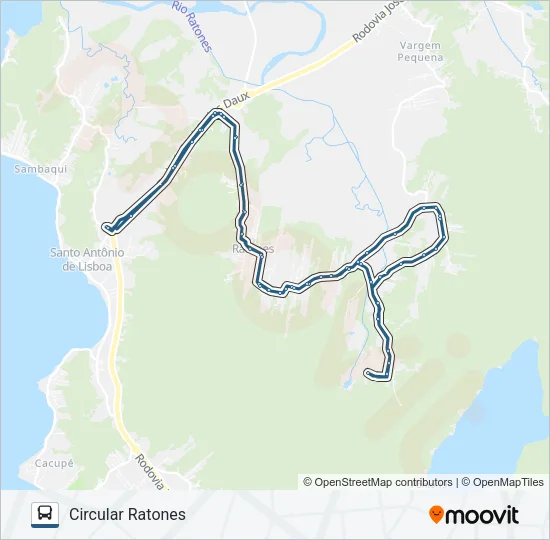 273 CIRCULAR RATONES Bus Line Map