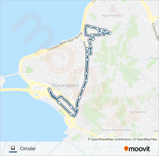 769 MORRO NOVA TRENTO Bus Line Map