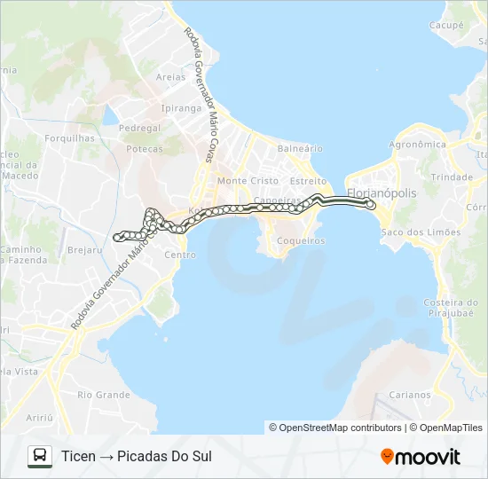 603 PICADAS DO SUL Bus Line Map