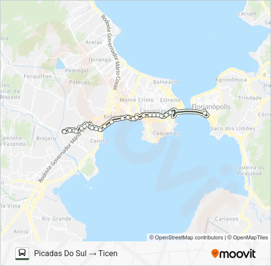 603 PICADAS DO SUL Bus Line Map