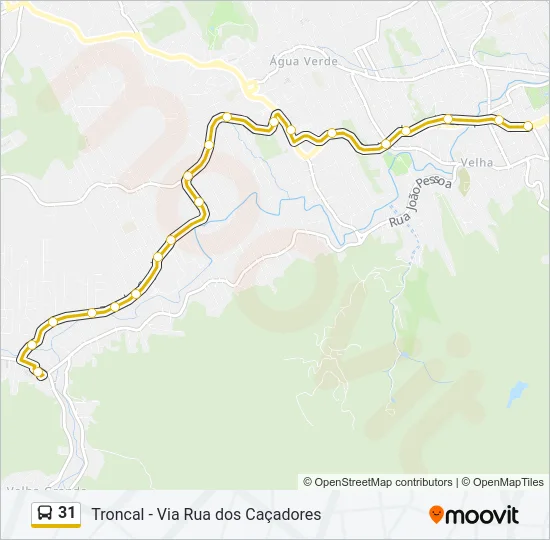 31 Bus Line Map