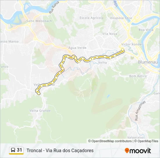 31 Bus Line Map
