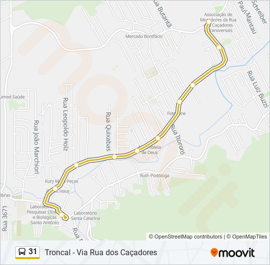 31 bus Line Map