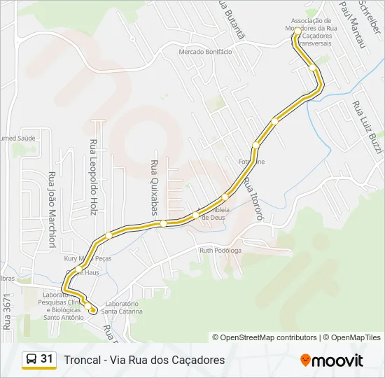 31 Bus Line Map