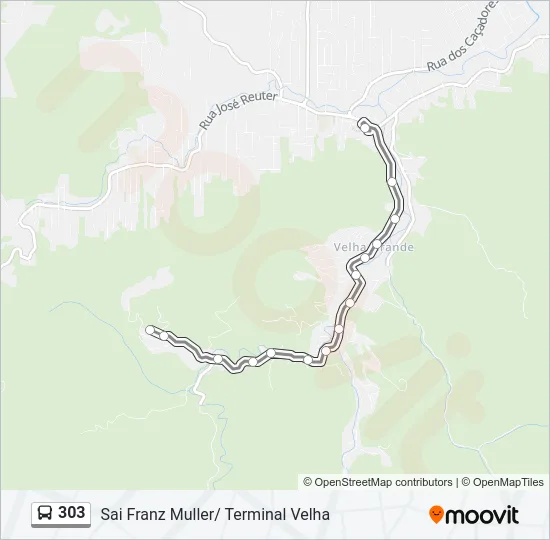 303 Bus Line Map