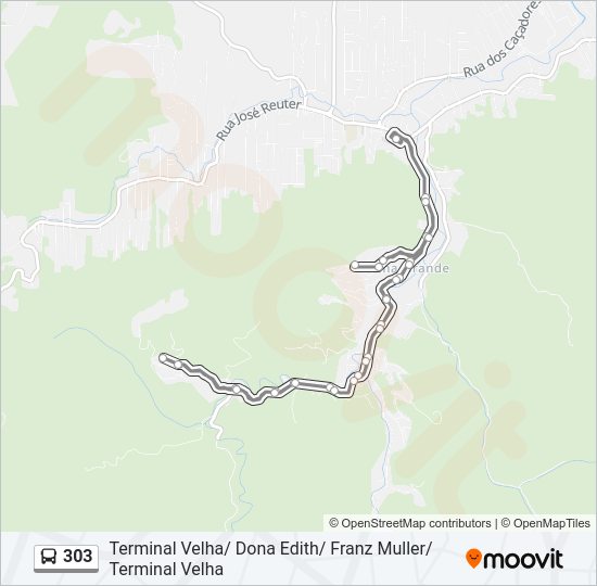 Mapa da linha 303 de ônibus