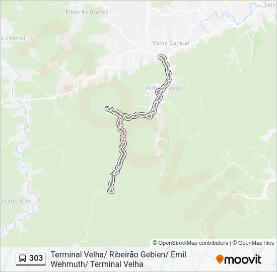 303 Bus Line Map
