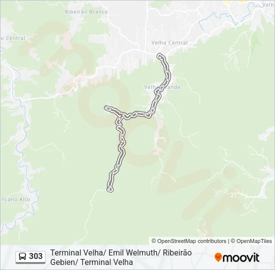 303 Bus Line Map