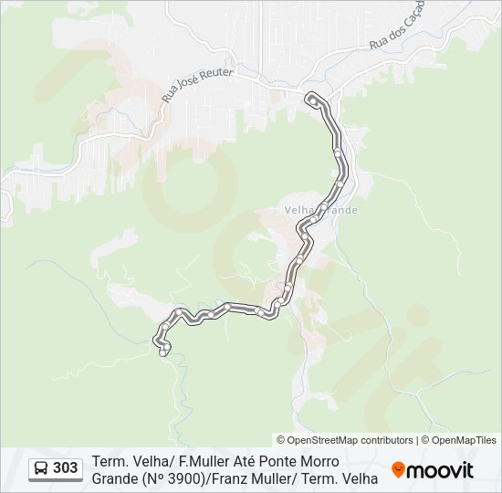 Mapa da linha 303 de ônibus