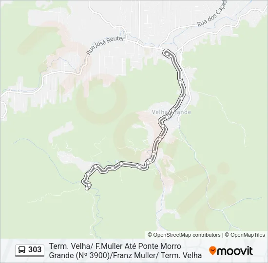 303 Bus Line Map