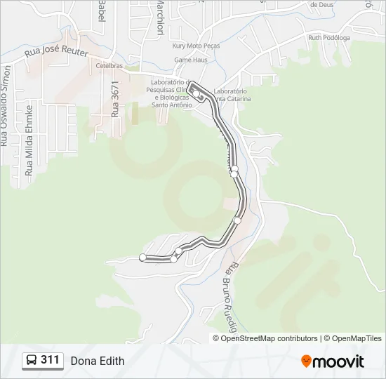 311 Bus Line Map