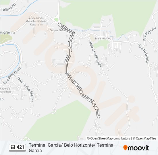 421 bus Line Map