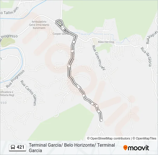 421 Bus Line Map