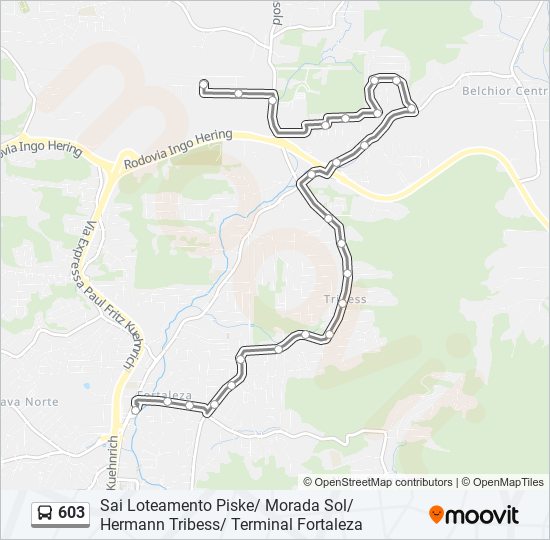 Mapa de 603 de autobús