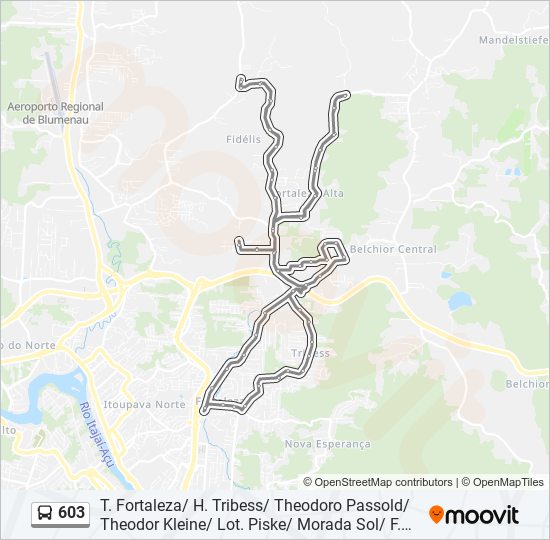 Mapa da linha 603 de ônibus