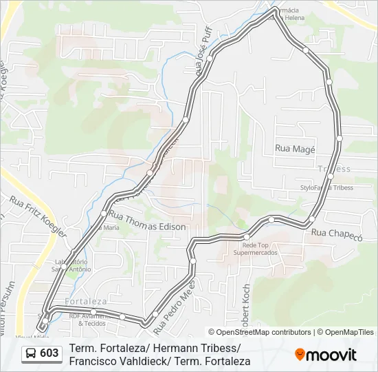 603 Bus Line Map